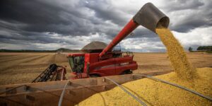 Conab Confirma Estimativa de Safra Recorde Após Primeiras Colheitas