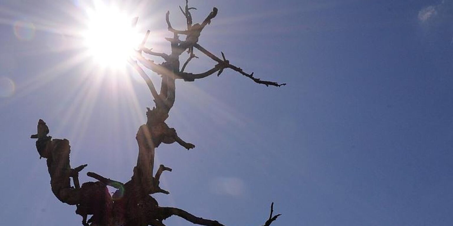 CMN Prorroga Prazos de Financiamentos do Fundo Constitucional do Nordeste